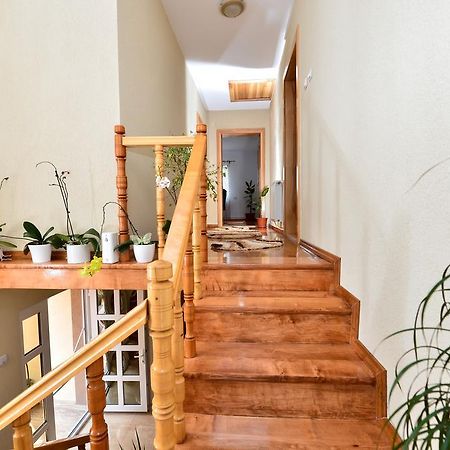 Casa Vio Otel Haţeg Dış mekan fotoğraf
