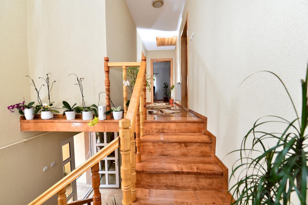 Casa Vio Otel Haţeg Dış mekan fotoğraf
